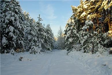 射击游戏重磅来了！《界外狂潮》引爆全球热议！